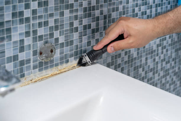 Best Mold Cleaning Services  in Circle D Kc Estates, TX